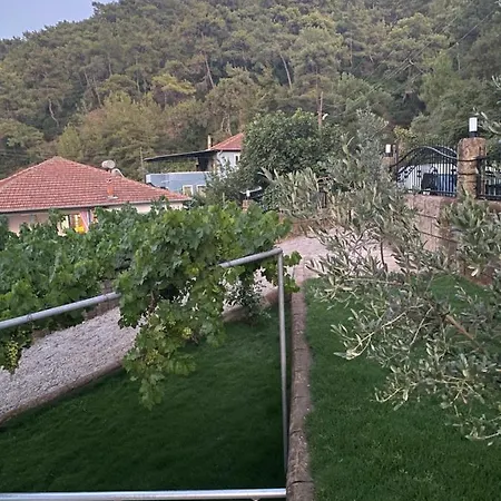 Süsler Villa Ortaca (Mugla)